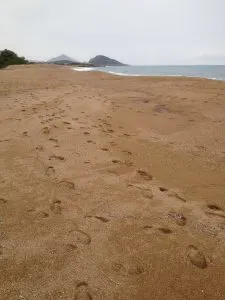 Footprints on the beach