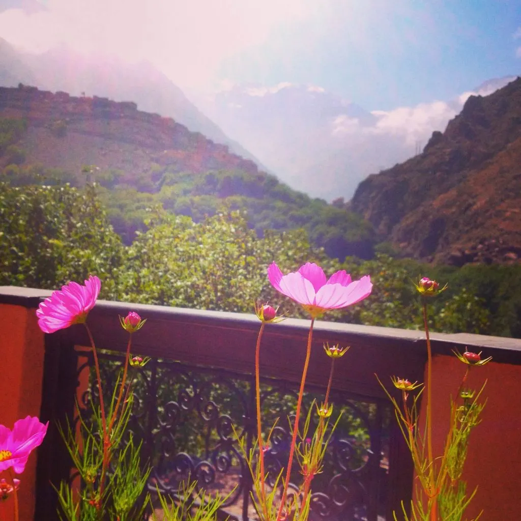 flowers kasbah du toubkal