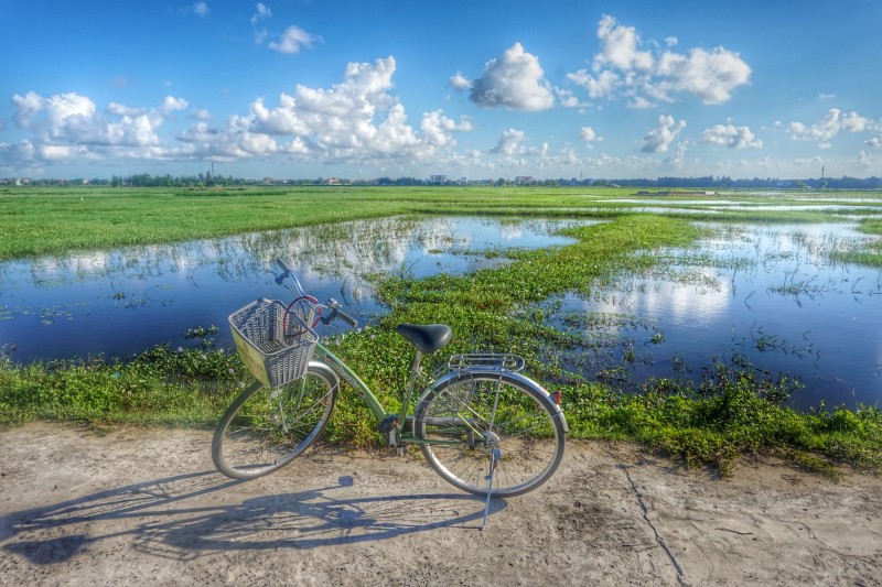 Hoi An what to do, paddy fields by bike - things to do in Hoi An