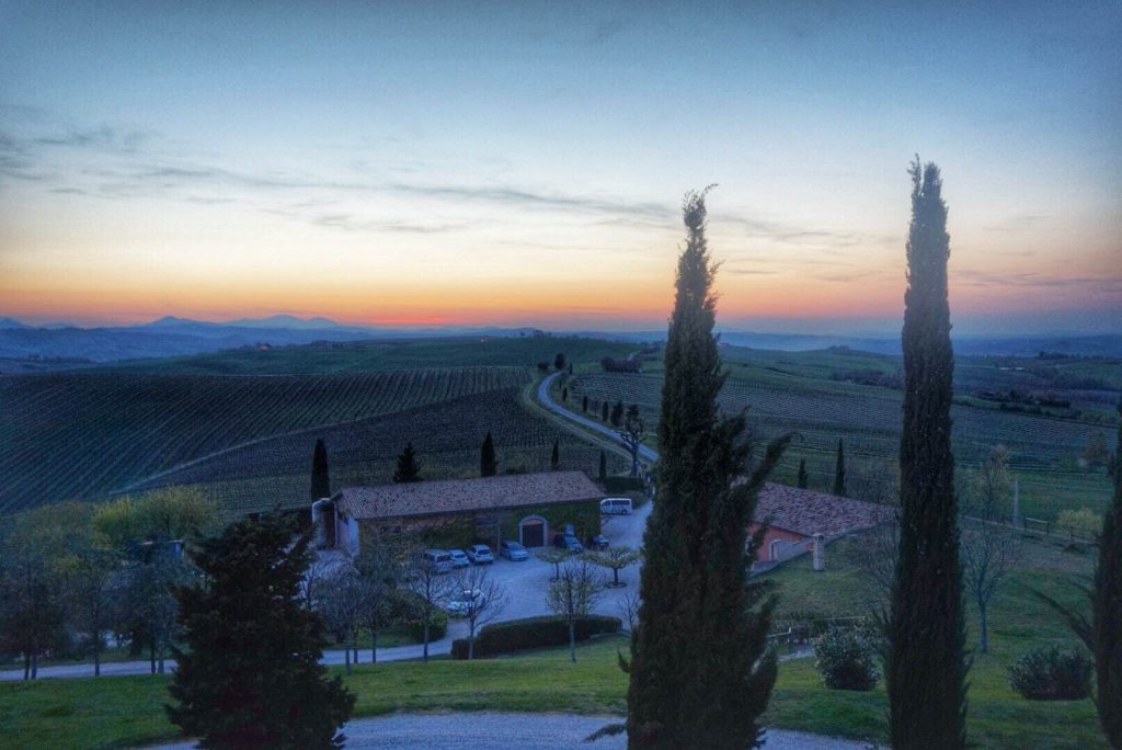 Wine tasting in Ancona - What to do in Ancona, Marche, Italy