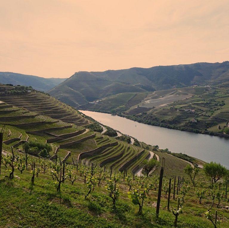 Douro Valley Day Trip from Porto: Why You Can't Miss It
