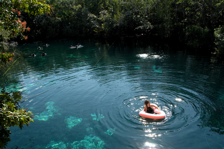 Cenote Carwash, Tulum - A Baby Crocodile!?