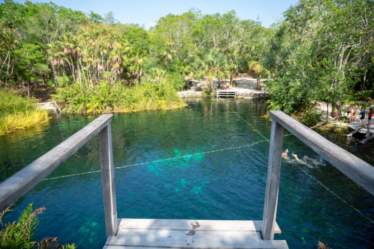 Cenote Cristalino: A Visitors' Guide