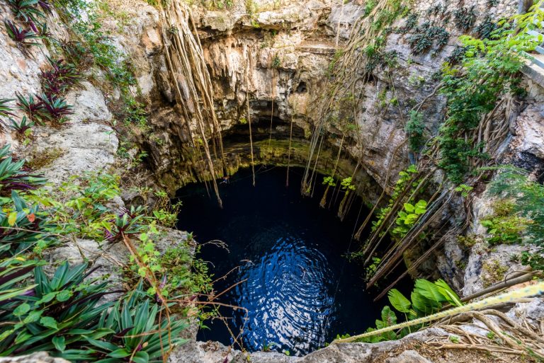 Cenote Oxman, Valladolid: All You Need To Know