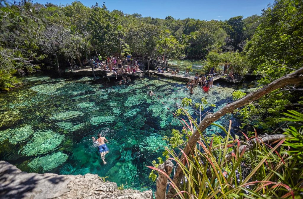 An image of Cenote Azul, with people swimming in it, and surrounded by lush vegetation