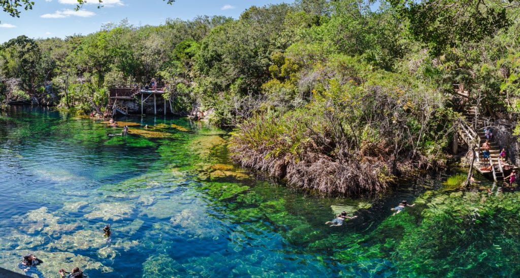 Image of the crystal-clear water at Eden Cenote near Playa del Carmen.