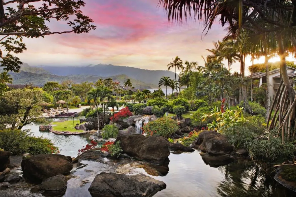 lush jungle vegetation, ponds, and small waterfalls