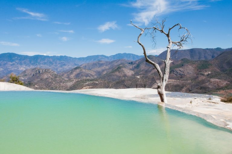 15+ BEST Oaxaca Tours & Day Trips