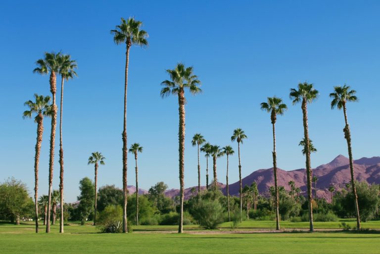 The Perfect 3 Day Road Trip from Los Angeles