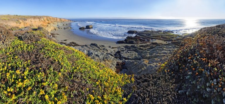 9 Fun Things To Do in Cambria, California