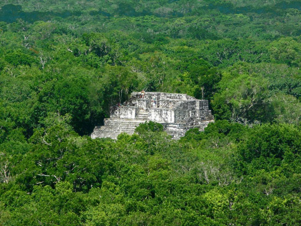 A Mayan pyramid, completely swallowed in a sea of green, lush jungle vegetation 