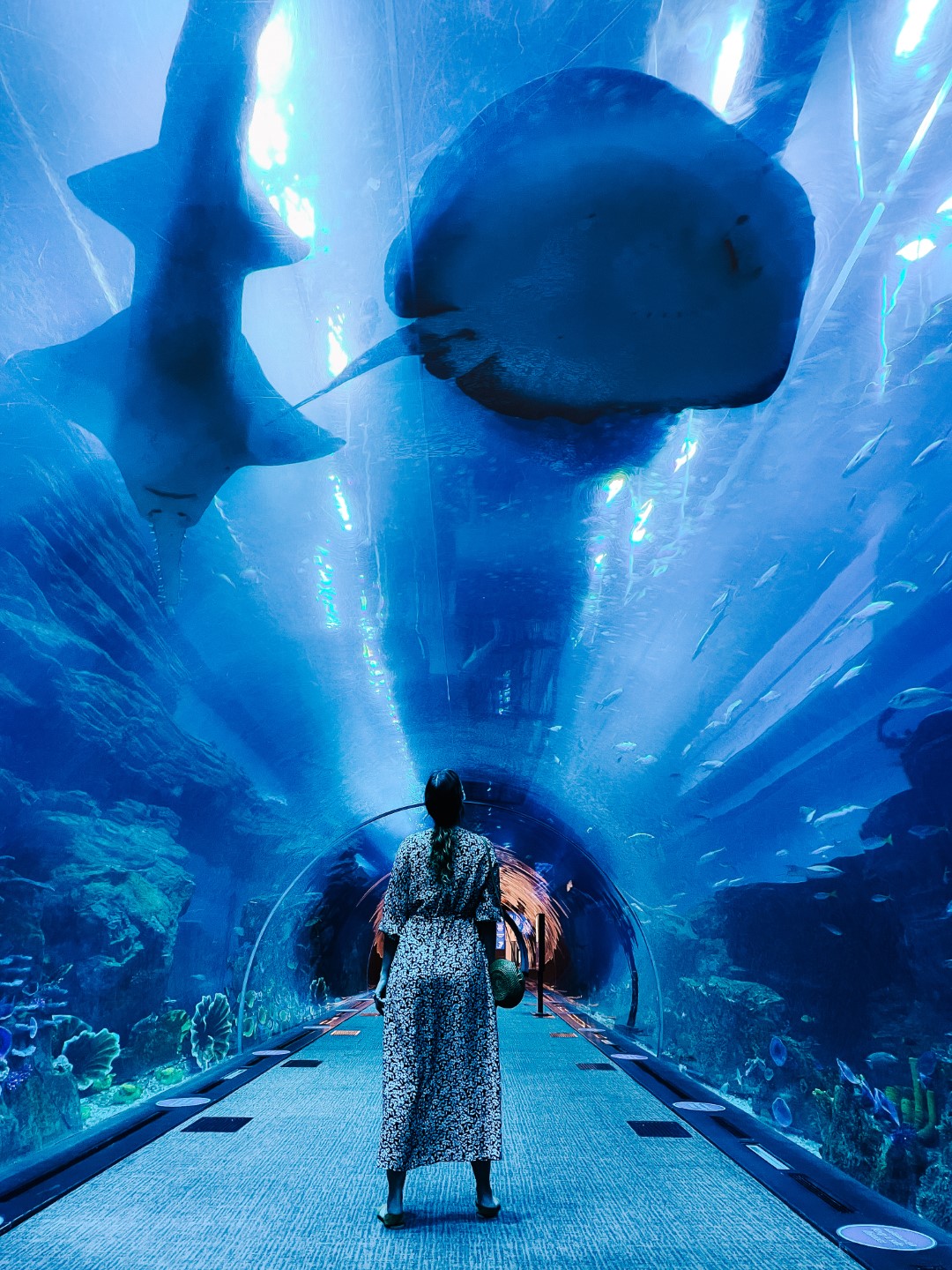 A woman in the Dubai Aquarium tunnel, looking up to a giant ray swimming above her. It's one of the best things to do at Dubai Mall! 