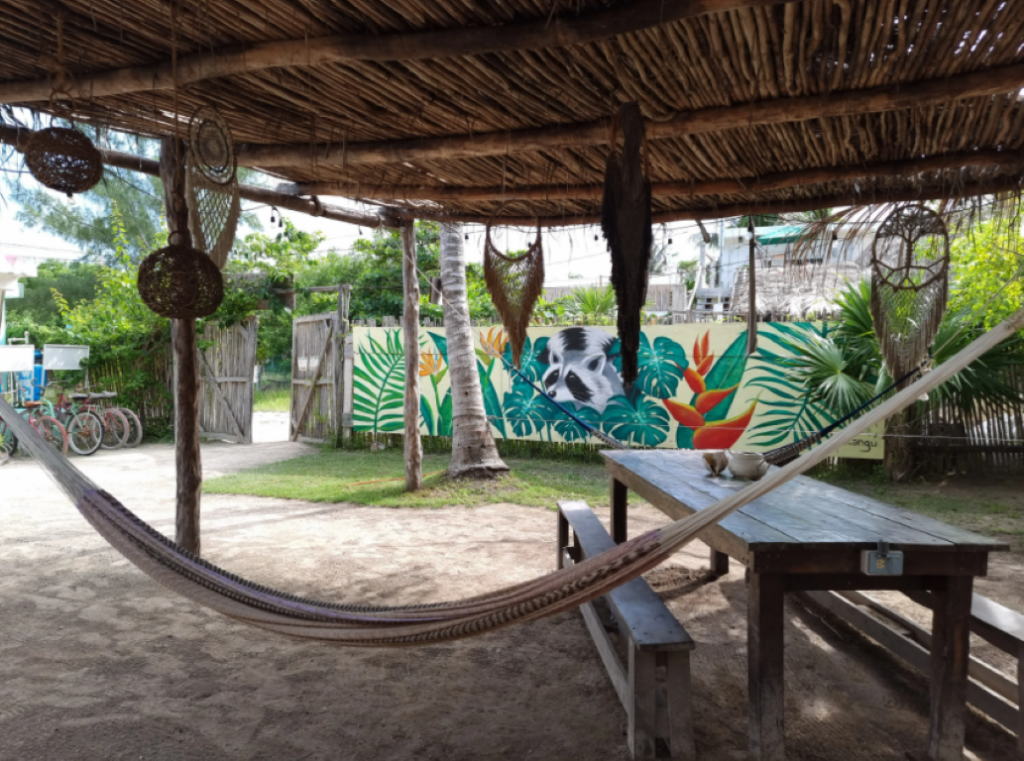 Photo of Mapache Hostel & Camping, a Isla Holbox hostel.