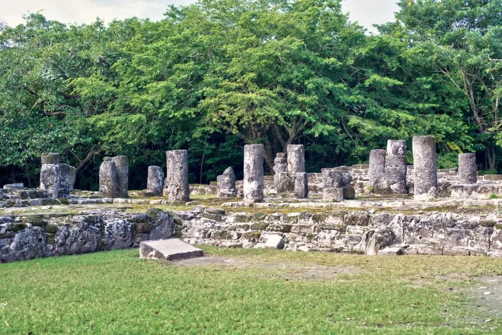 The San Gervasio Ruins, surrounded by vegetation 