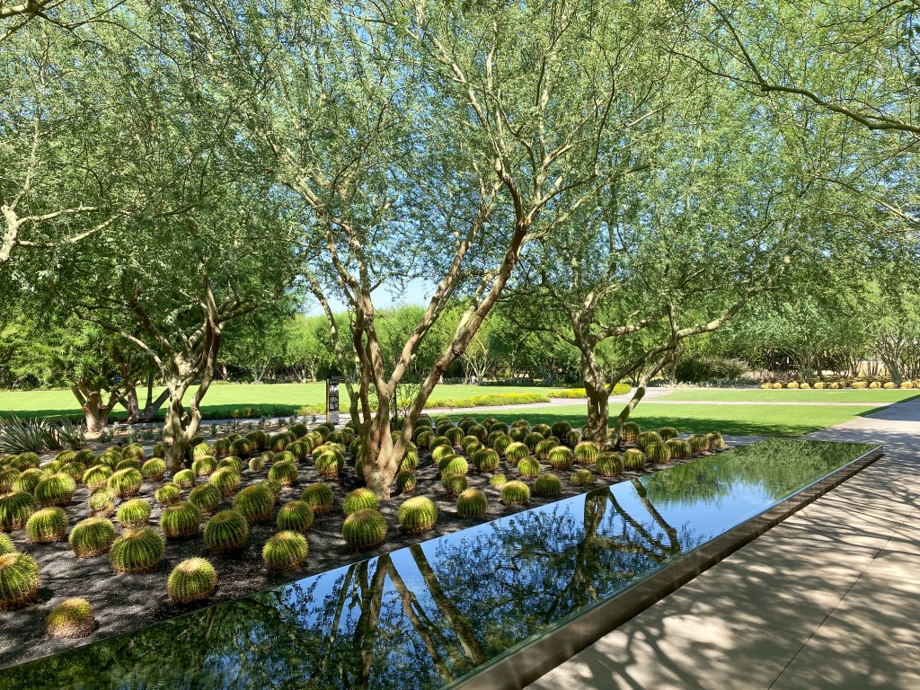 Image of a vast garden with trees and cacti taken on a sunny day 