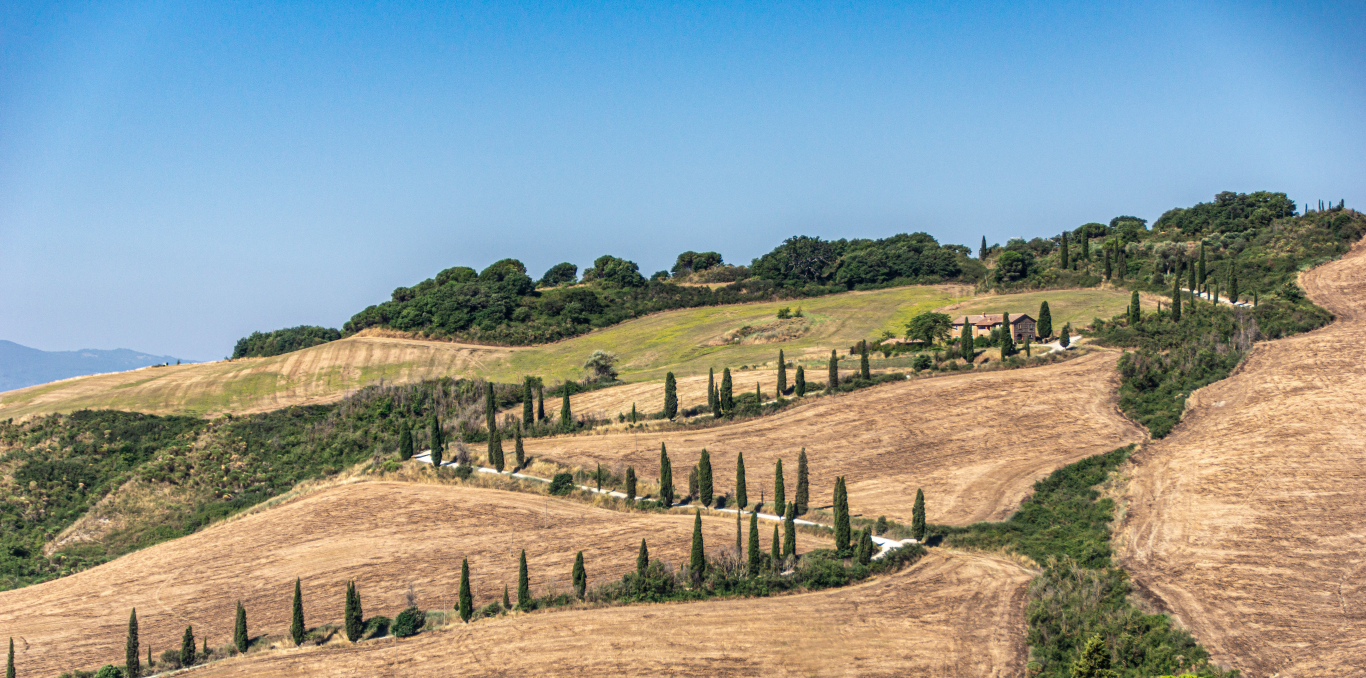 A cypress-lined road winding across dry fields in the Val d’Orcia.