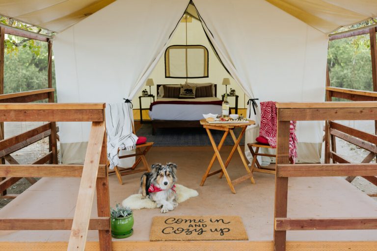 Glamping in Northern California 14 Dreamy Spots To Book in 2024