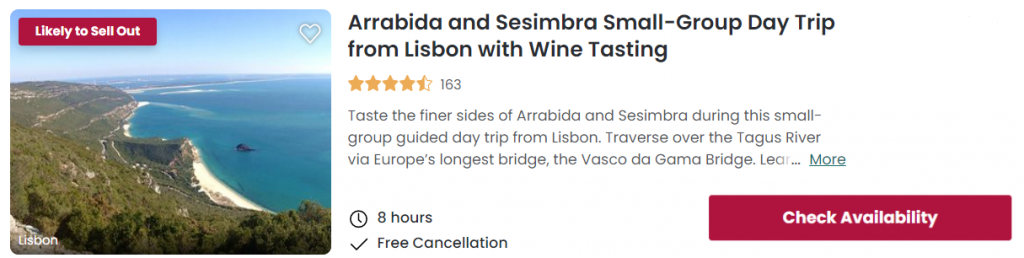 lisbon wine tour