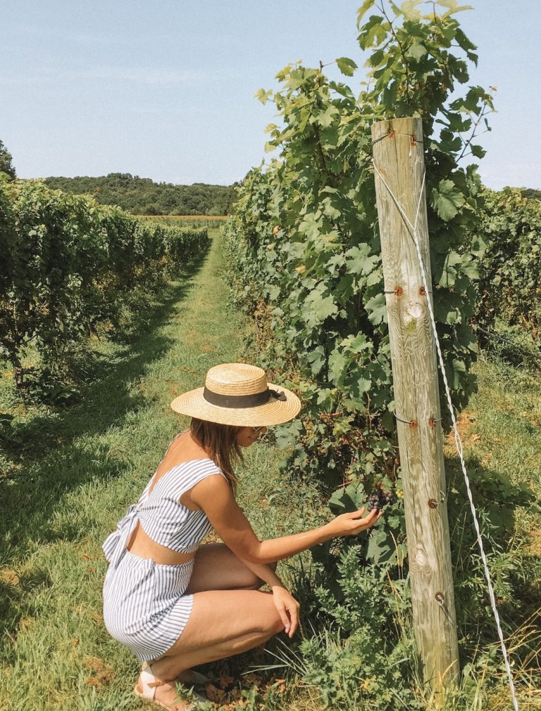 12 Long Island Vineyards You Just Can't Miss