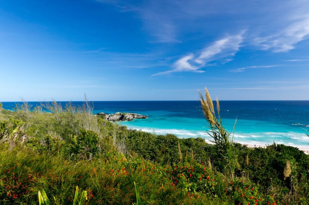 Photo of nature in Bermuda in a post about where to stay in Bemruda and the best Bermuda hotels to book this year.