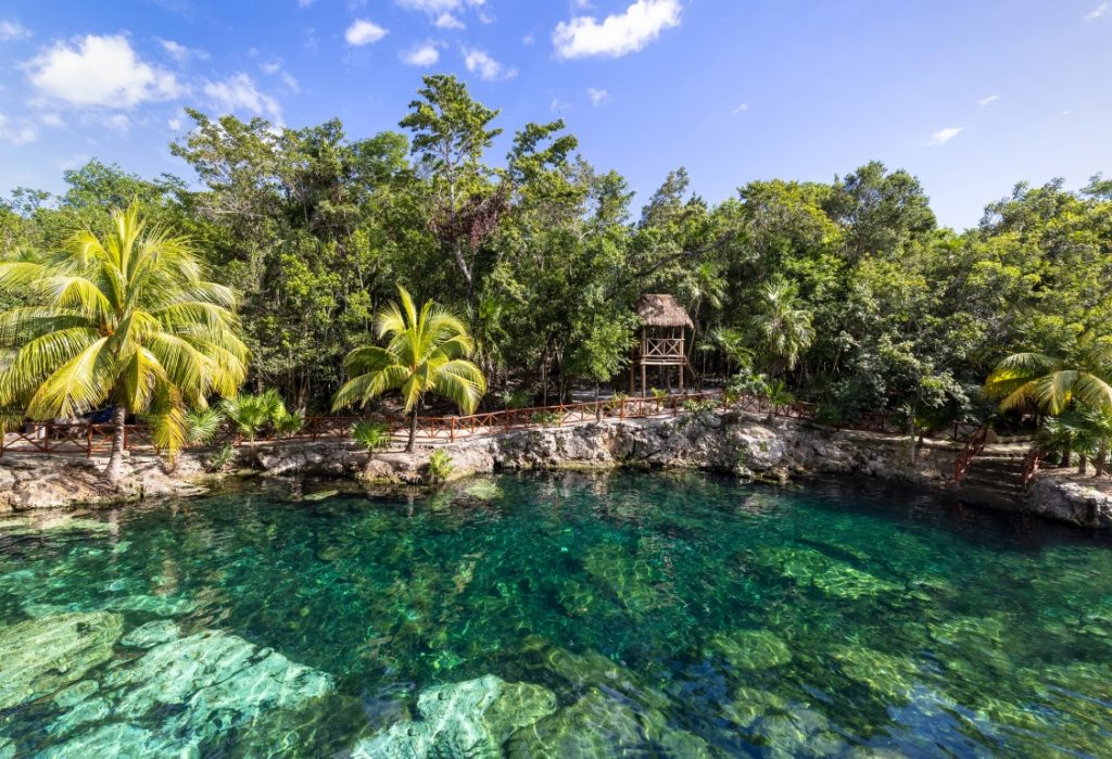 Image of Casa Tortuga cenote inserted in a list of the best Playa del Carmen and Riviera Maya cenote tours.