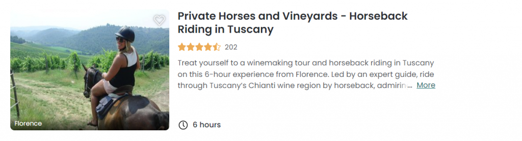Private Horses and Vineyards - Horseback Riding in Tuscany 