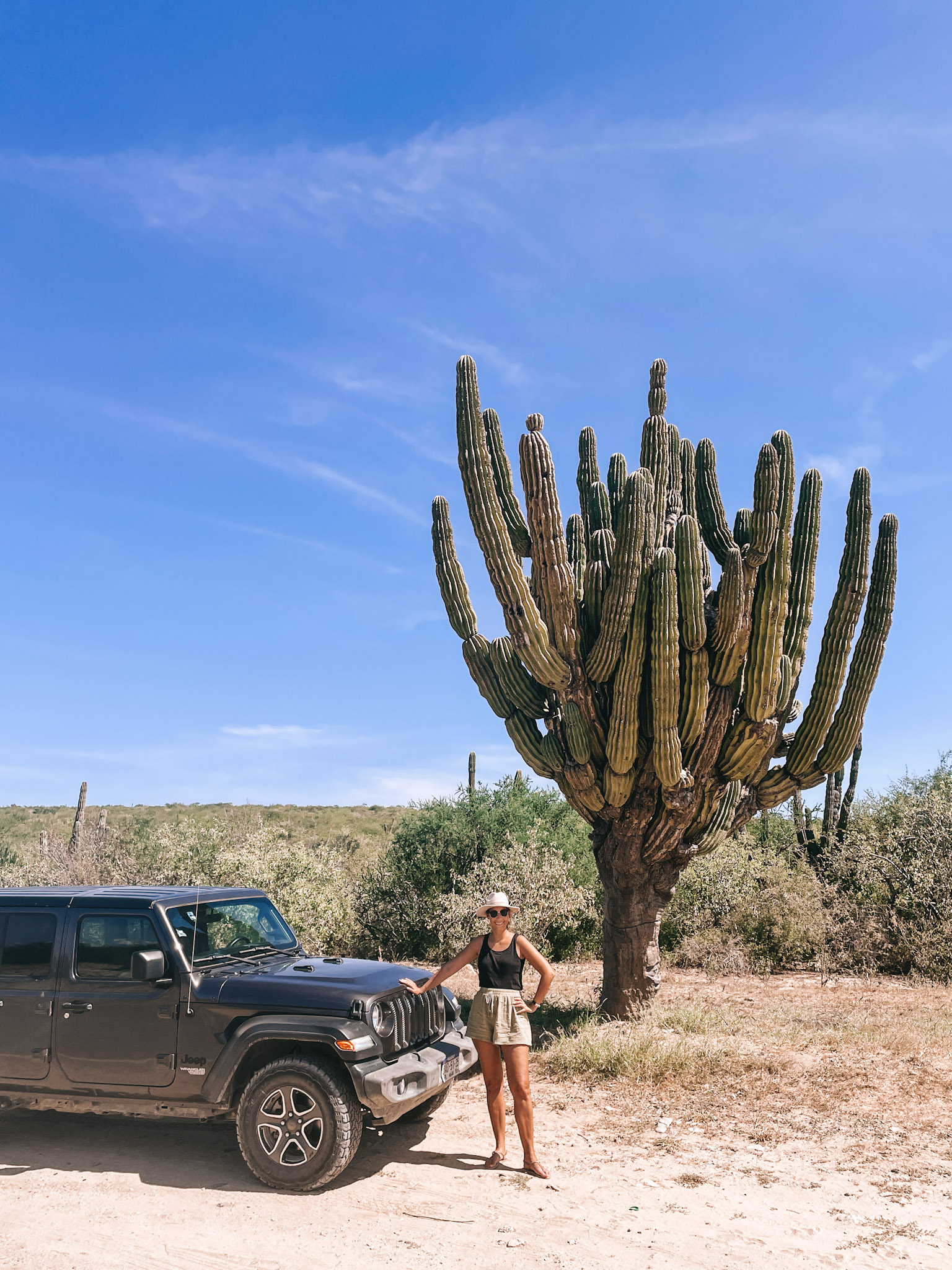 A woman standing next to a jeep, with a large cactus and other vegetation in the background. Inserted in a post about eco tourism in Los Cabos 