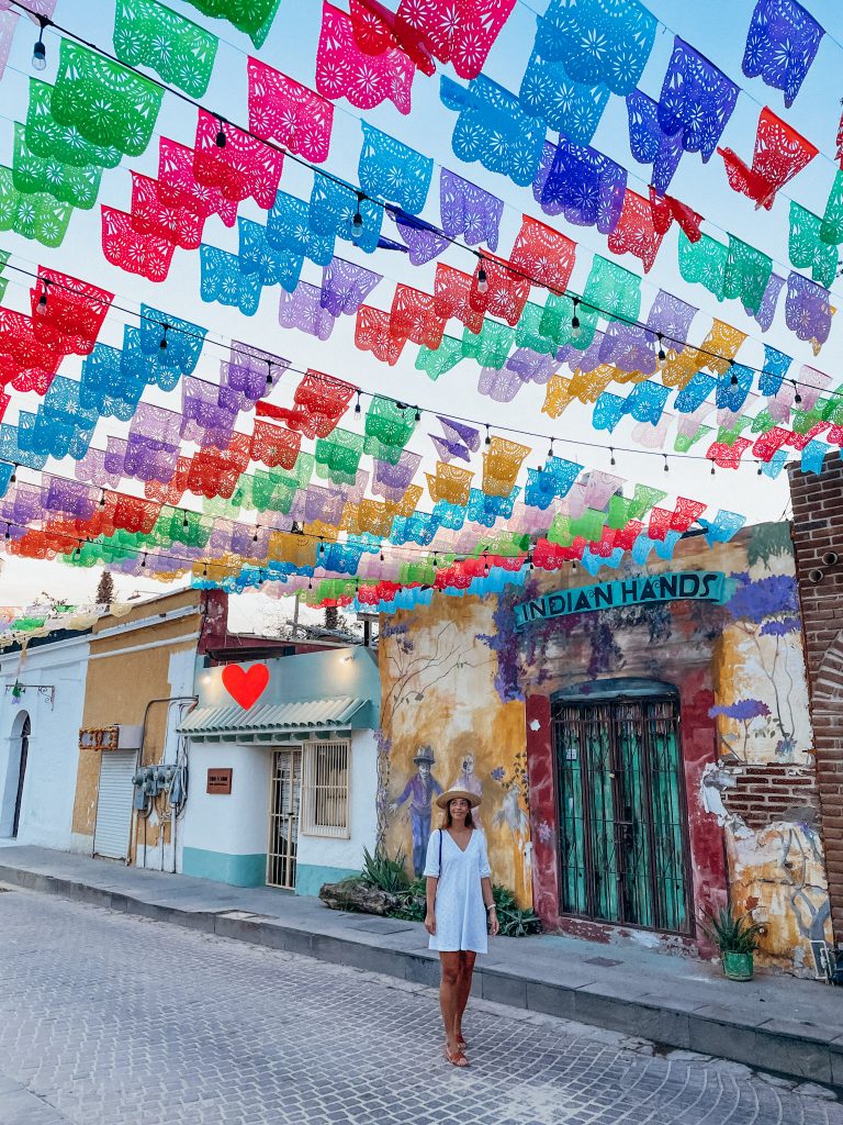 15+ BEST Cabo San Lucas Excursions & Tours