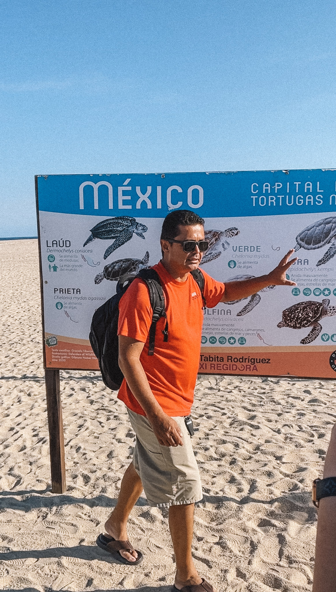 A guide standing in front of a turtle sign at the beach, teaching about turtle release experiences in Los Cabos