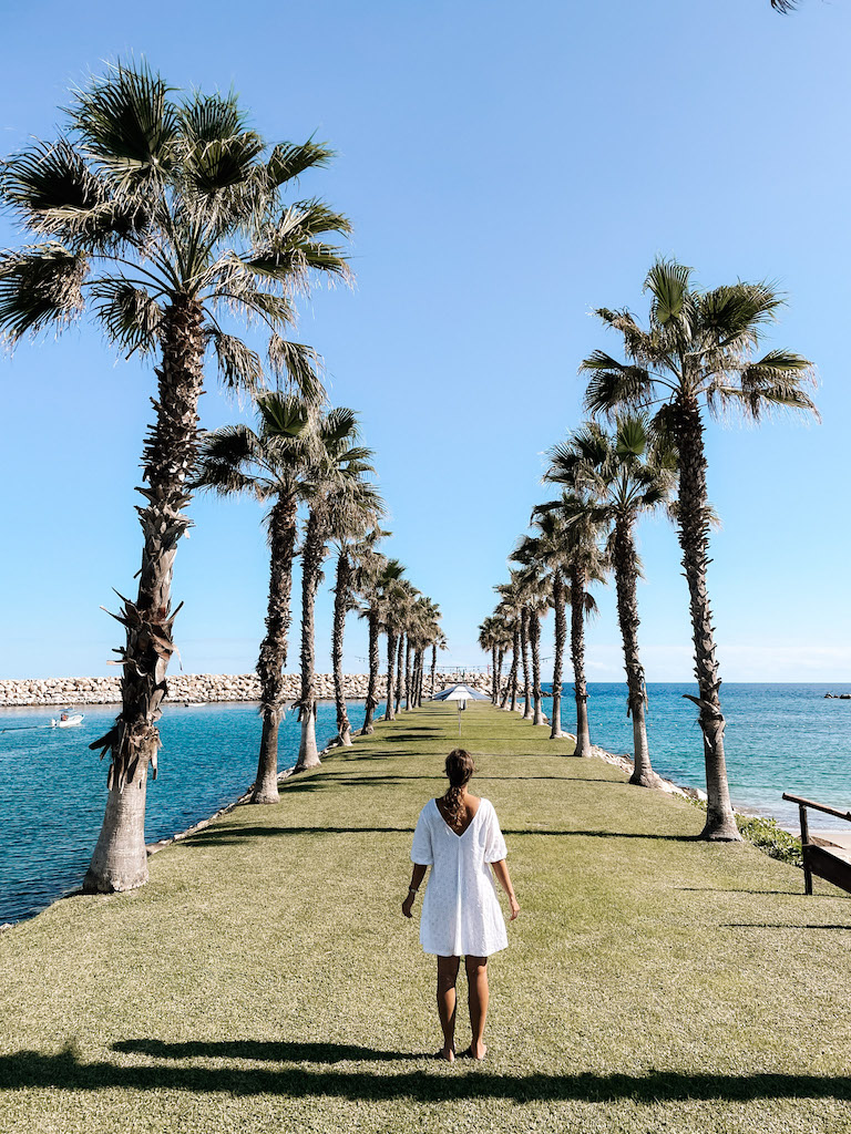A woman walking along a grass-covered walkway lined by palm trees, with the sea on both sides 