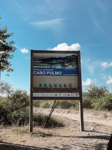 Visit Cabo Pulmo National Park: A Full Guide
