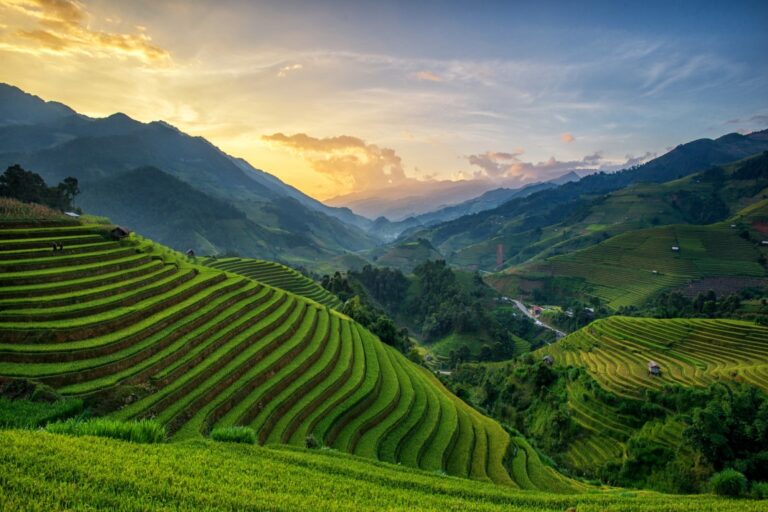 14 BEST Eco Resorts & Eco Lodges in Bali