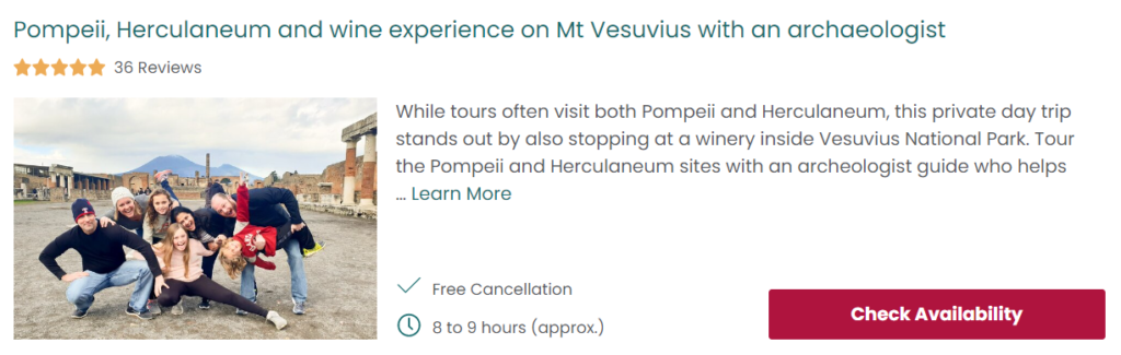 naples to mt vesuvius tour