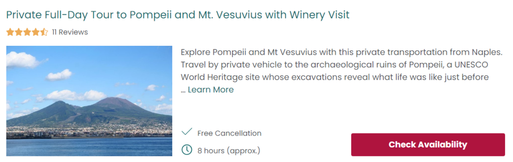 Private Full-Day Tour to Pompeii and Mt. Vesuvius with Winery Visit