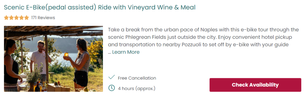 Scenic E-Bike Ride with Vineyard Wine & Meal 