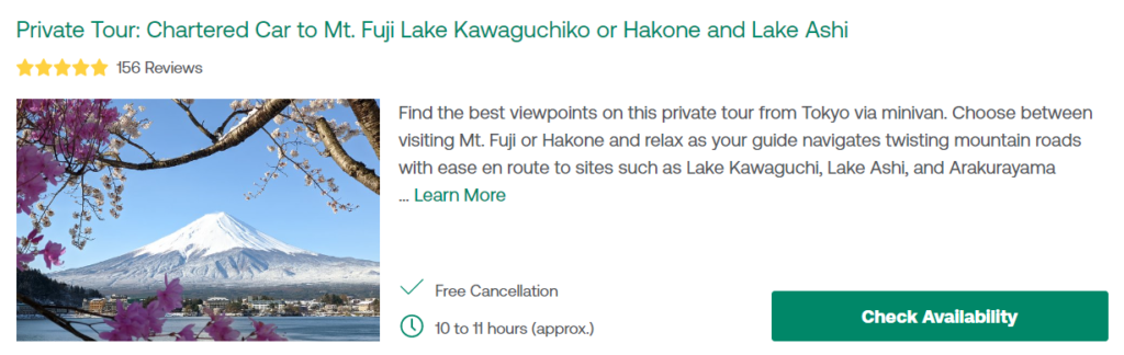 Private Tour: Chartered Car to Mt. Fuji Lake Kawaguchiko or Hakone and Lake Ashi