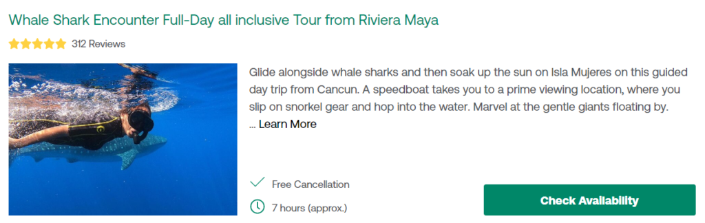 Whale Shark Encounter Full-Day all inclusive Tour from Riviera Maya