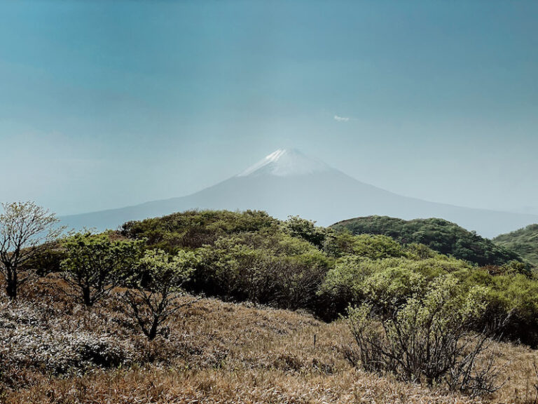 6 BEST Mount Fuji Tours from Tokyo [2024]