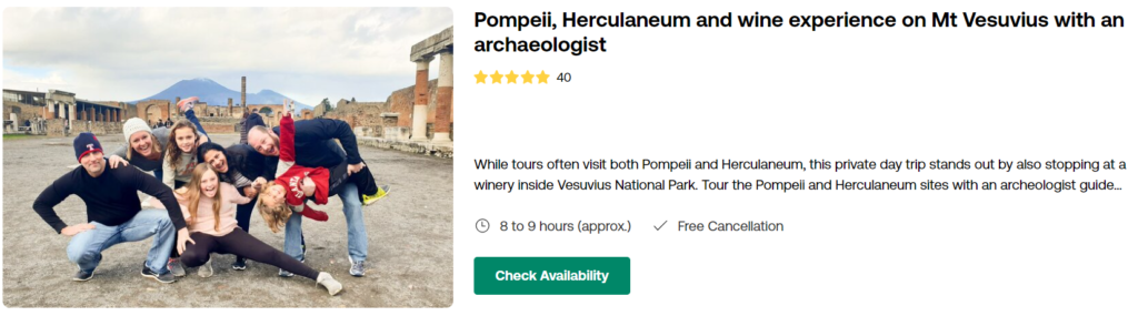 Pompeii, Herculaneum and wine  experience on Mt Vesuvius with an archaeologist
