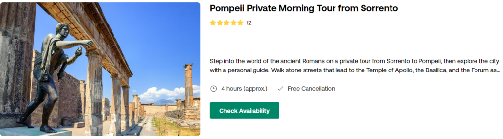 Pompeii Private Morning Tour from Sorrento 