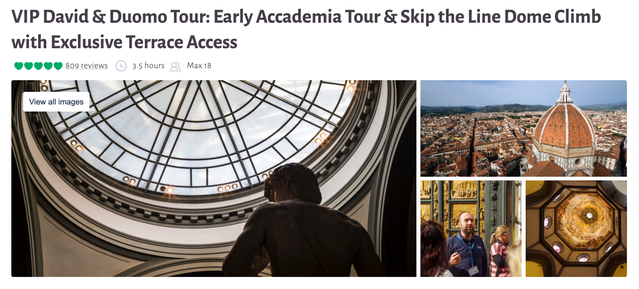 VIP David and Duomo Tour in Florence with early Accademia entry and terrace access