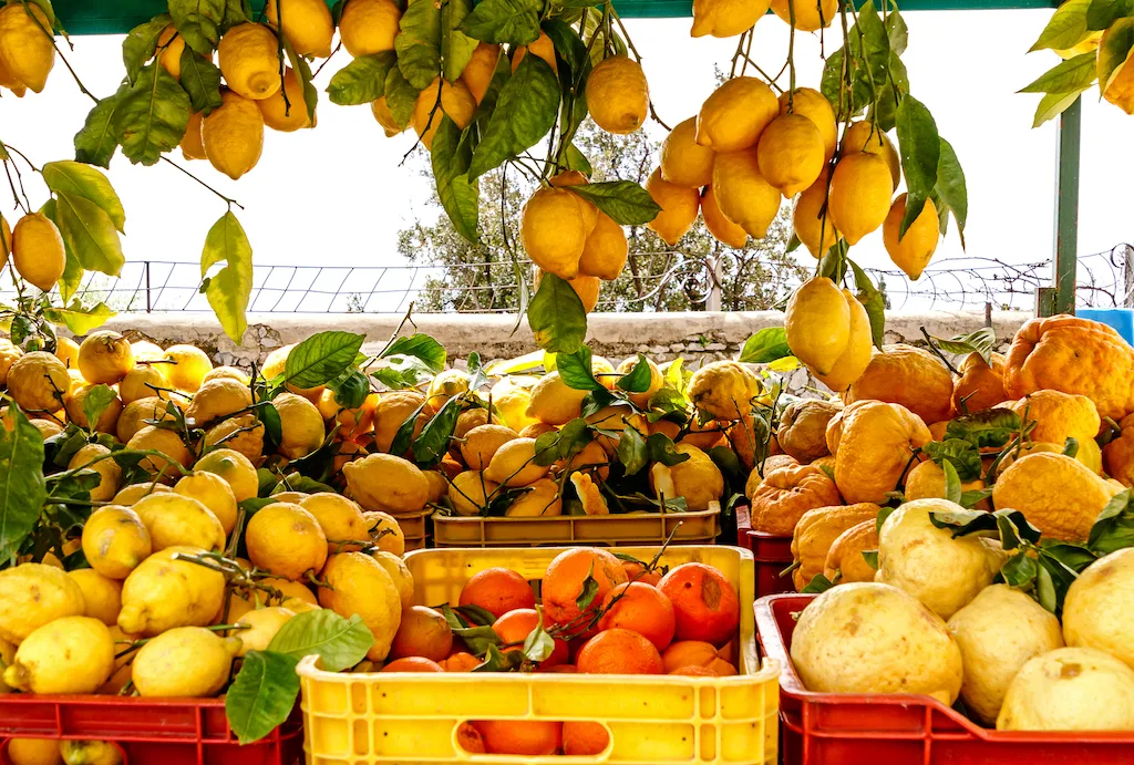Plastic crates brimming with lemons and oranges