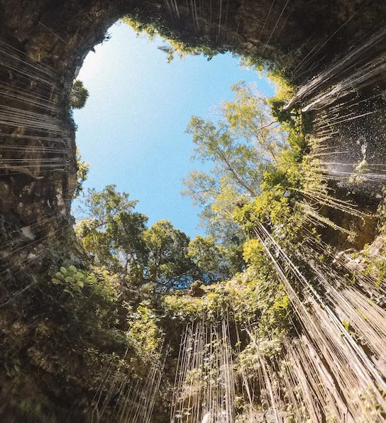 Cenote Ik Kil seen from the water.