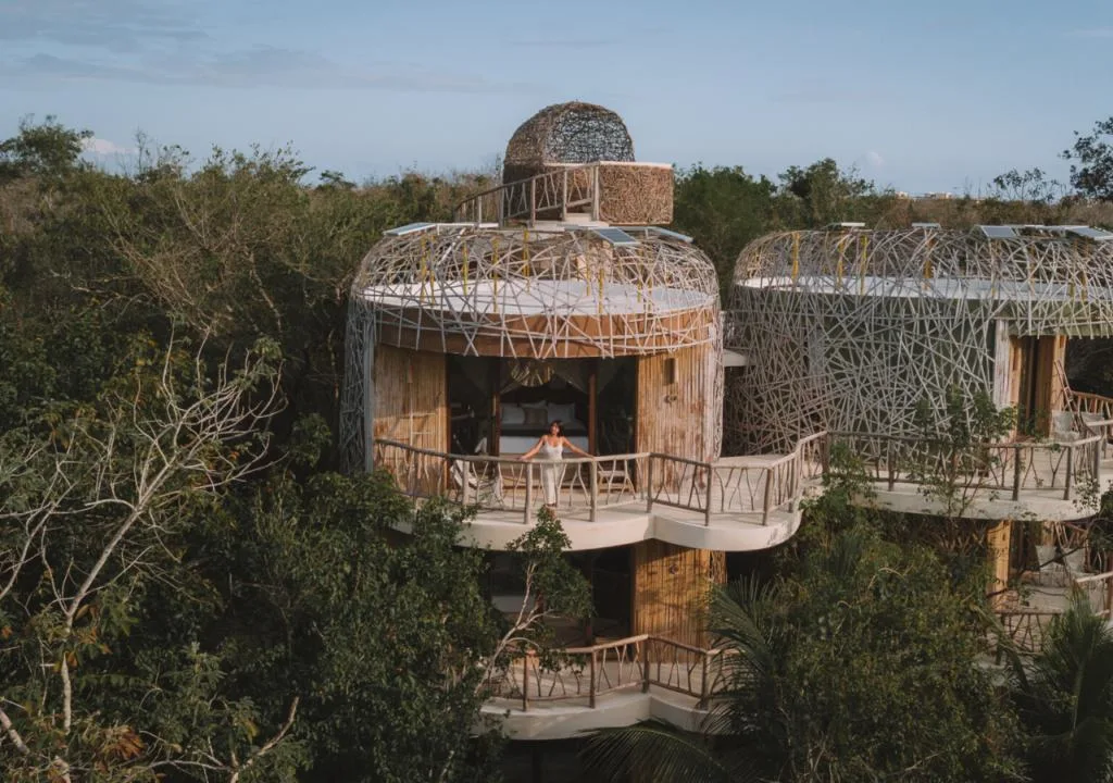 A nest-like construction in the middle of the jungle, inserted in a post about eco  hotels in Tulum 