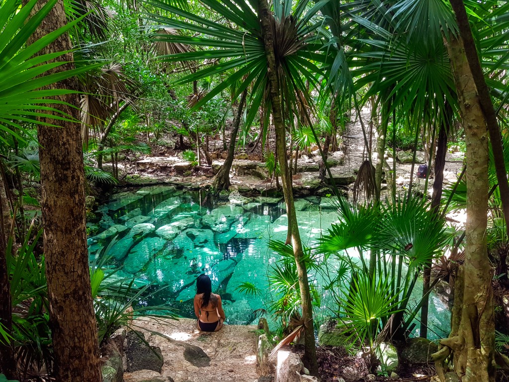 Cenote Azul seen between young palm trees, and a girl sitting on a rock by the water