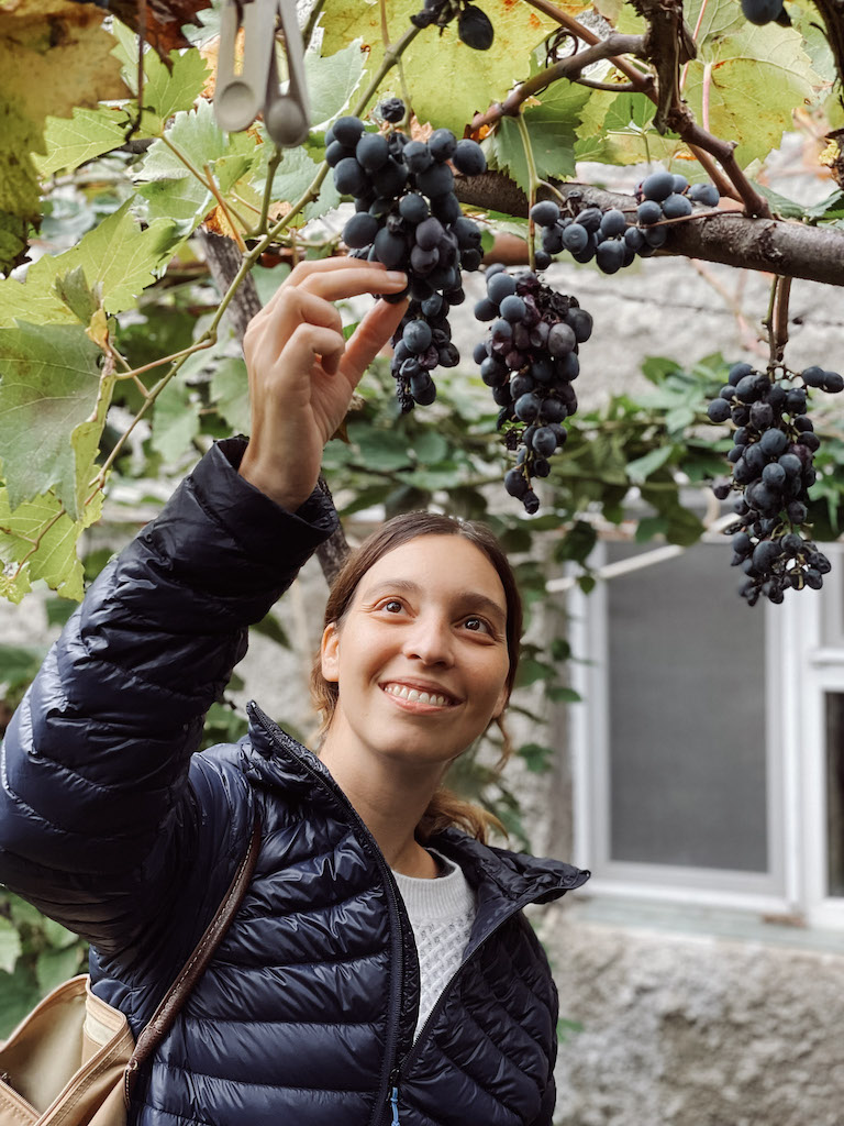 A woman smiling as she reaches for a grape in a vine