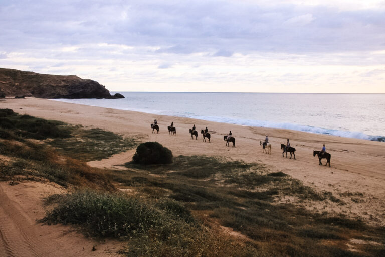 Horseback Riding in Cabo: 6 BEST Experiences