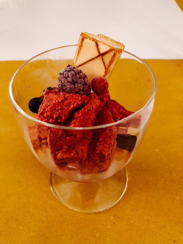 Glass cup filled with berry-flavored ice cream, frozen berries, and a small cookie on top.