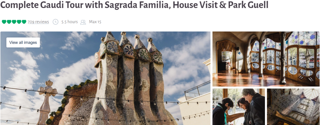 Complete Gaudi Tour with Sagrada Familia, House Visit & Park Guell