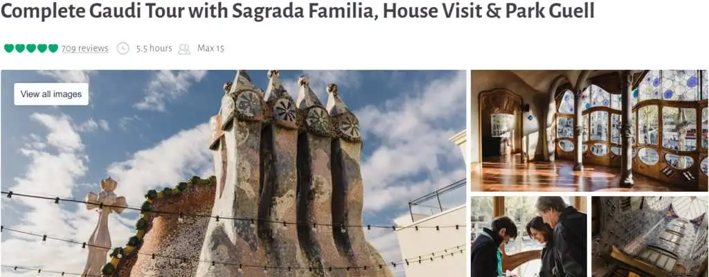 Complete Gaudi Tour with Sagrada Familia, House Visit & Park Guell
